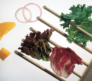 Mango, Orange and Jicama Salad with Connaisseur Vinaigrette